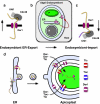 FIGURE 7.