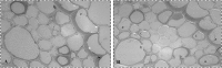 Fig 7