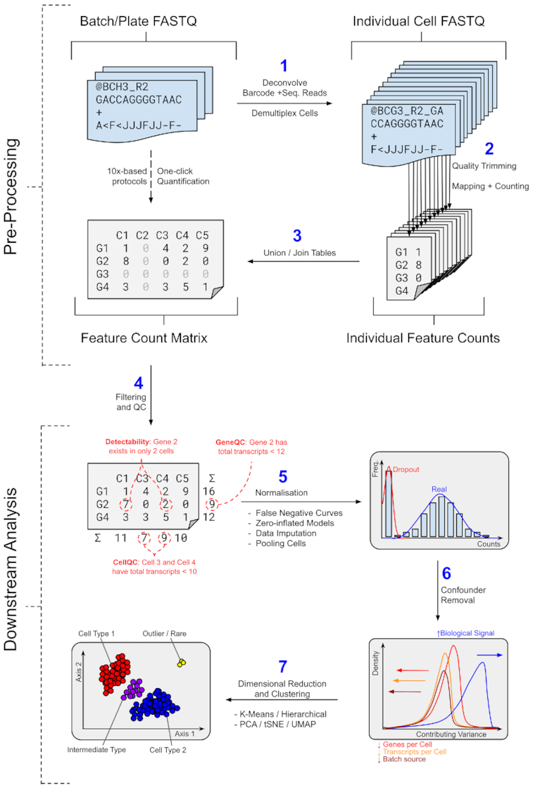 Figure 1: