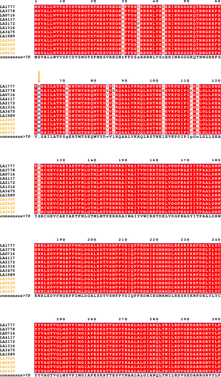 Figure 5—figure supplement 3.