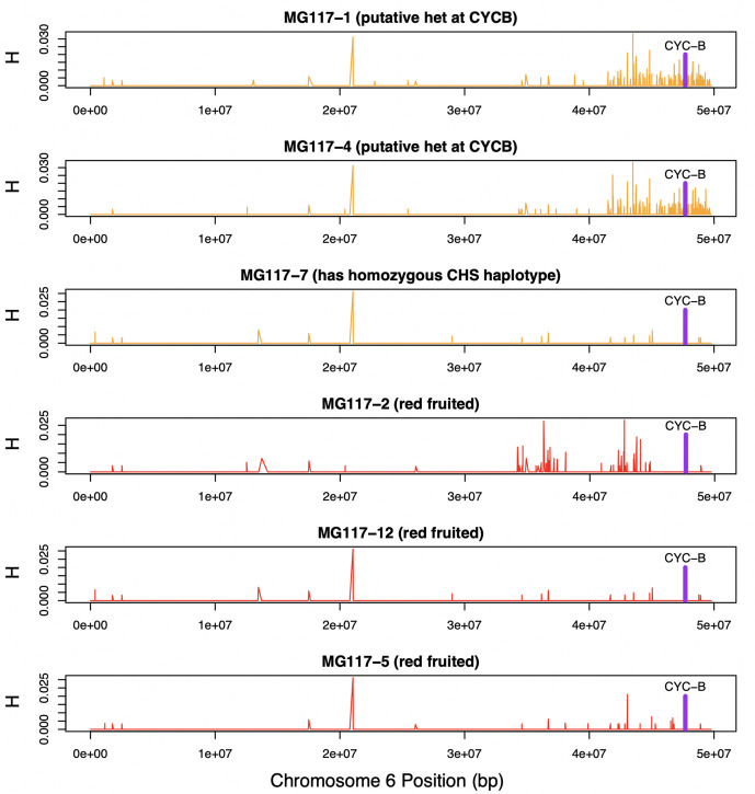 Figure 5—figure supplement 1.