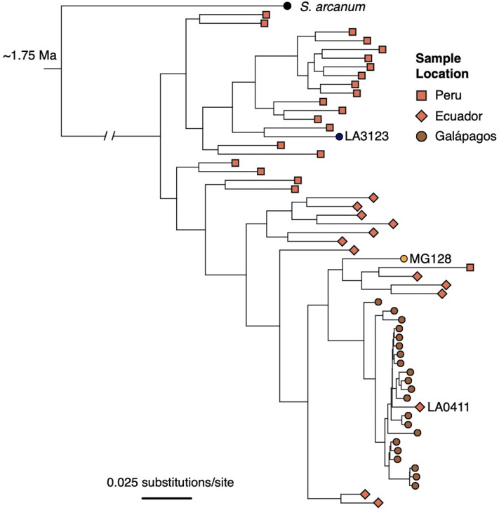 Figure 2—figure supplement 2.