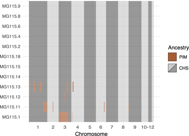 Figure 4—figure supplement 1.