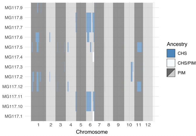 Figure 4—figure supplement 2.