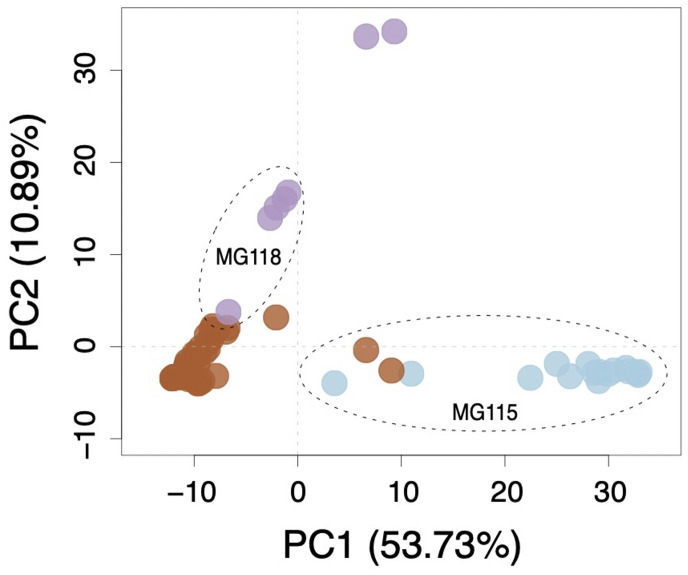 Figure 3—figure supplement 1.