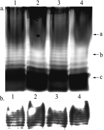 FIG. 6.