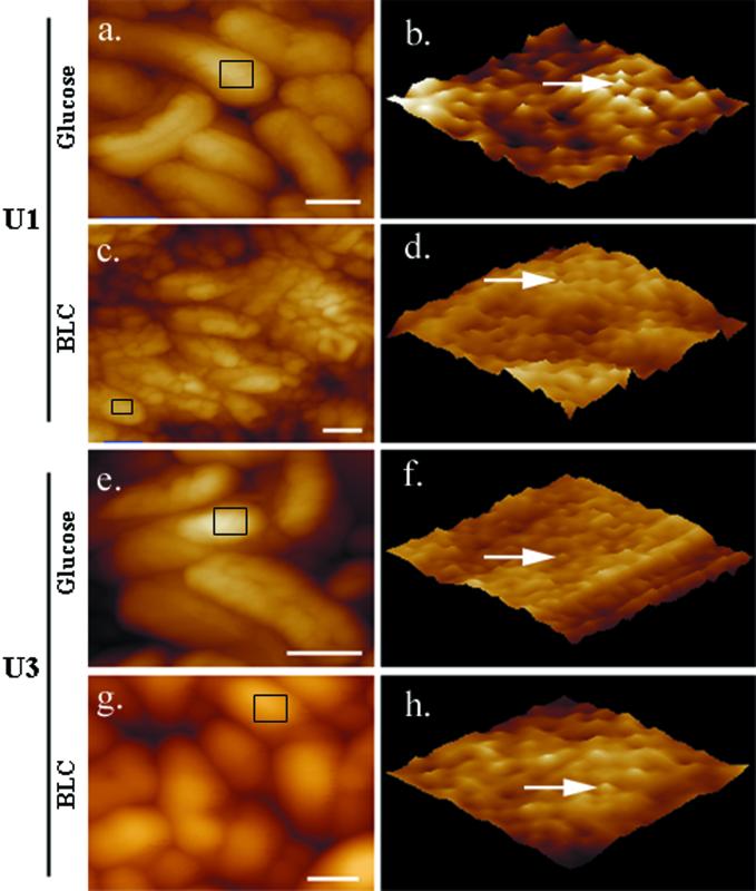 FIG. 4.