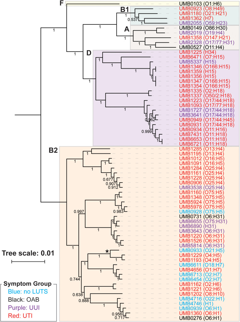 FIGURE 1