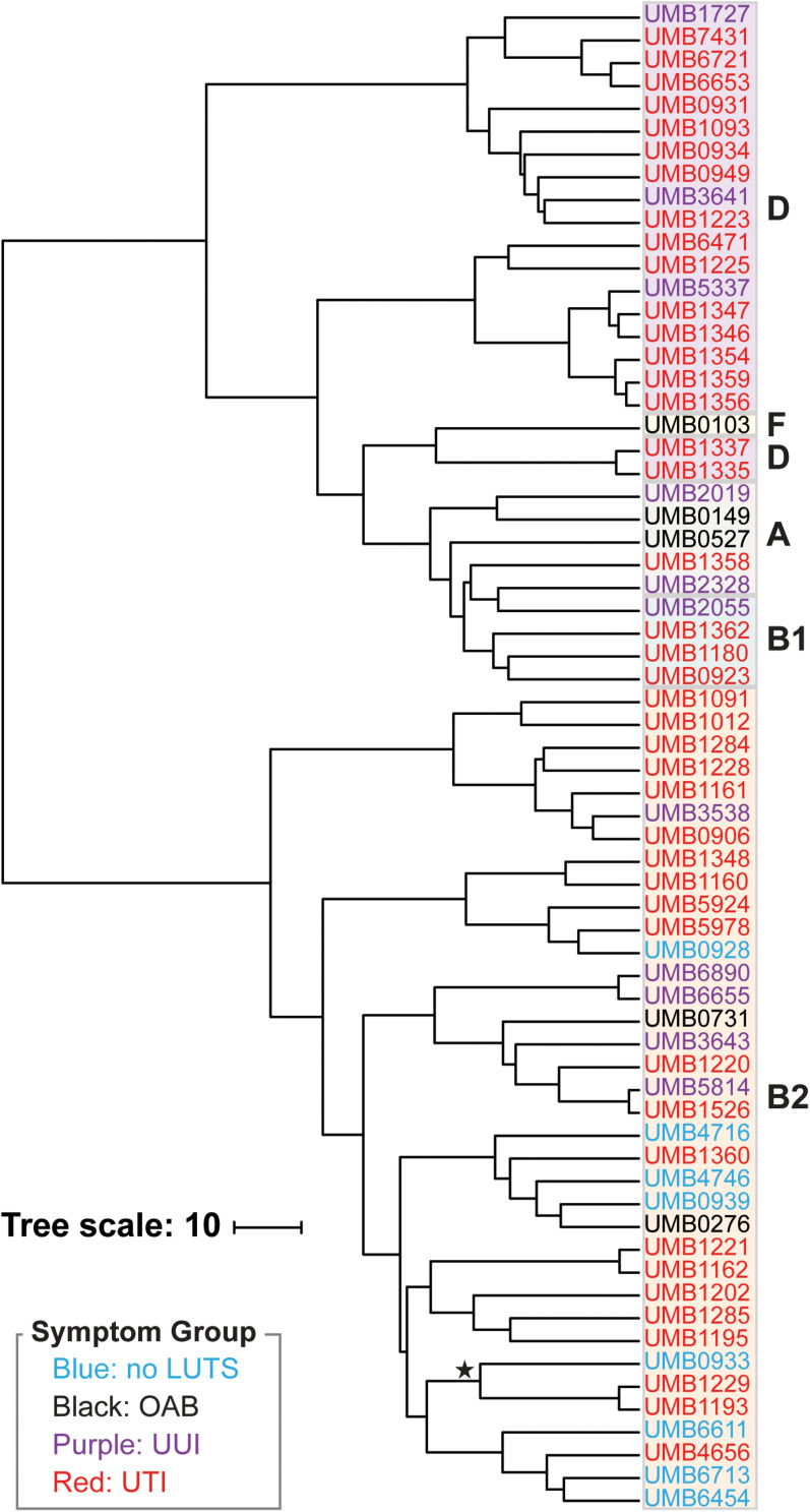 FIGURE 2