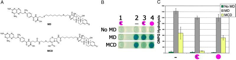 Fig 3.