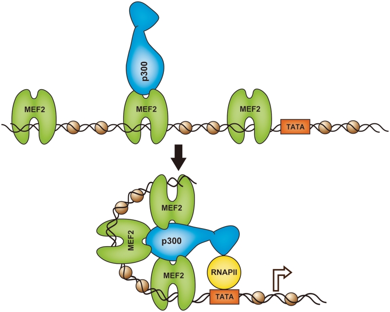 Figure 6.