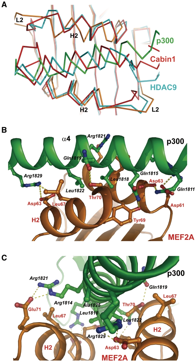 Figure 3.