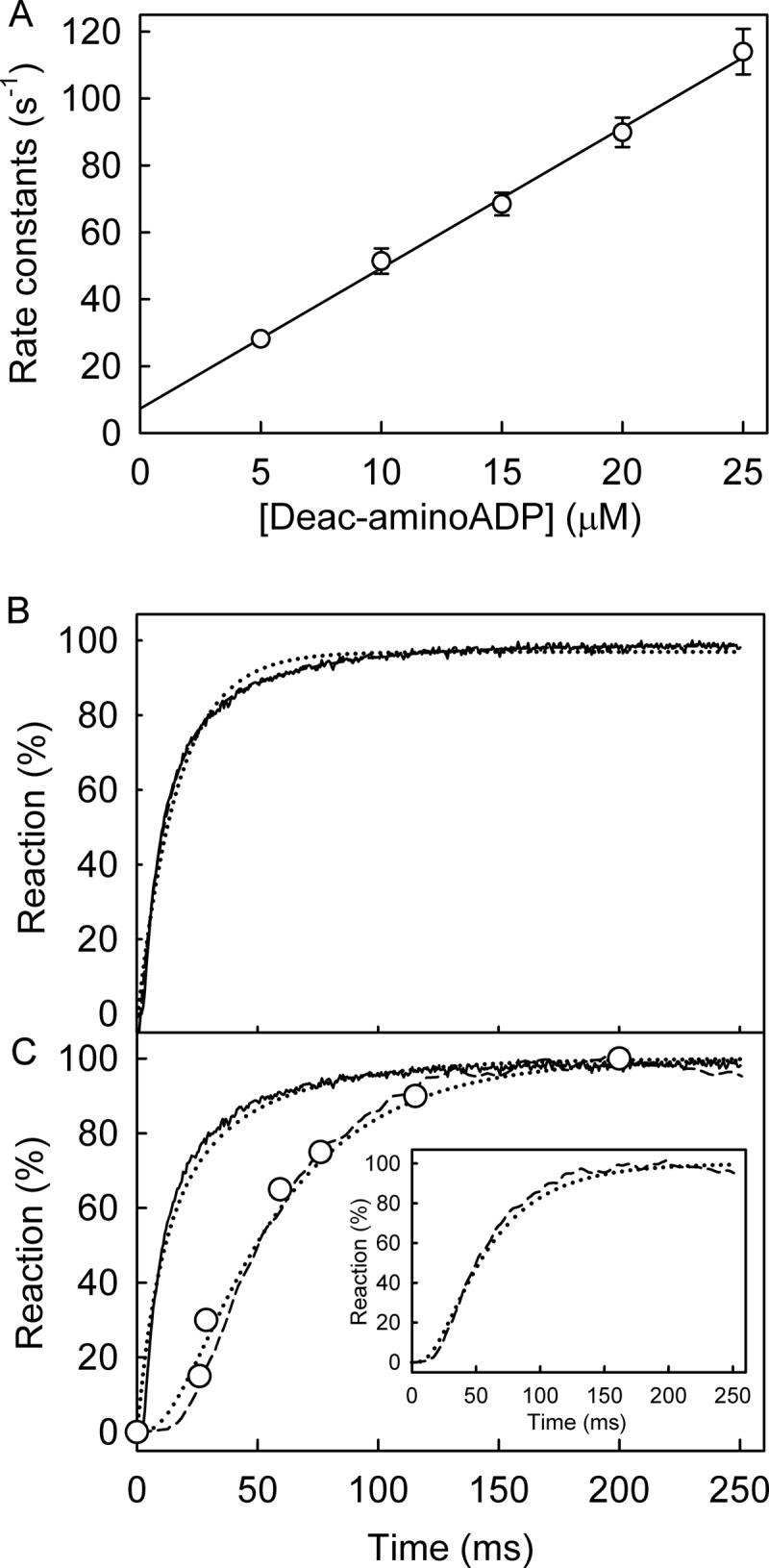 FIGURE 10.