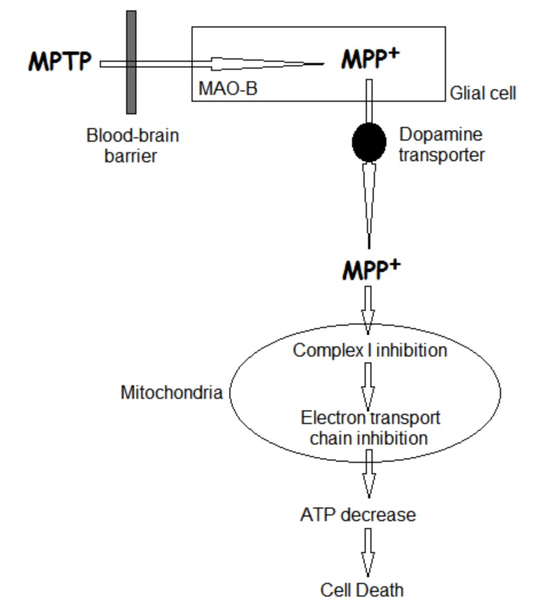 Fig. (5)