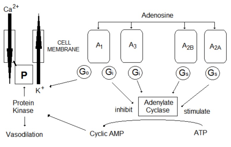 Fig. (10)