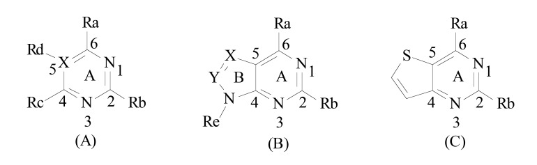 Fig. (11)