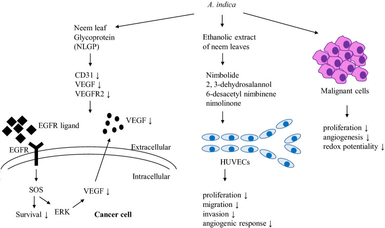 Fig. 3 