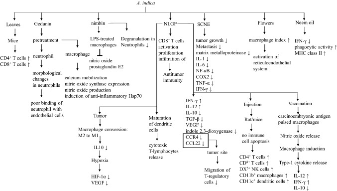 Fig. 4 