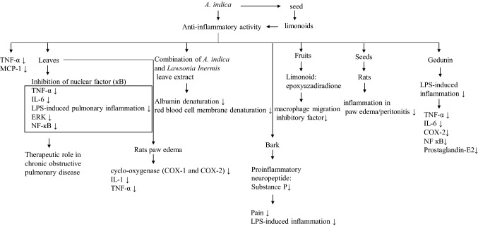 Fig. 2 