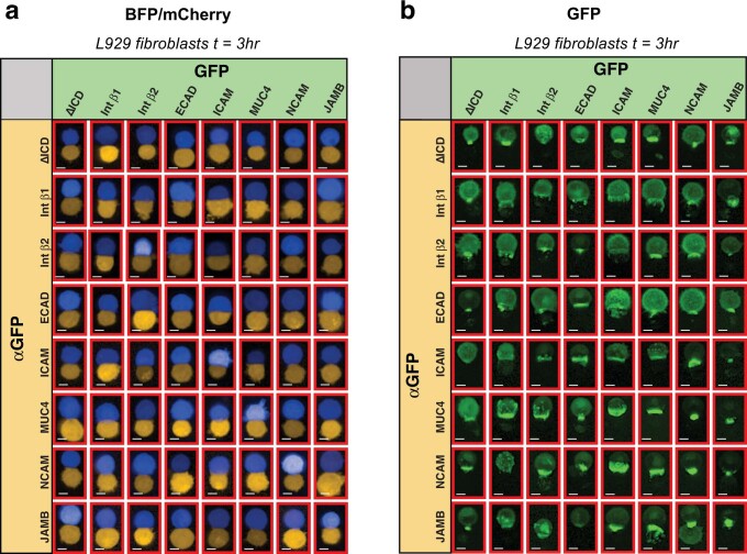 Extended Data Fig. 7