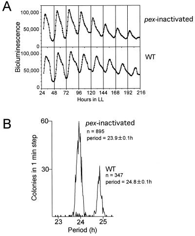 FIG. 7