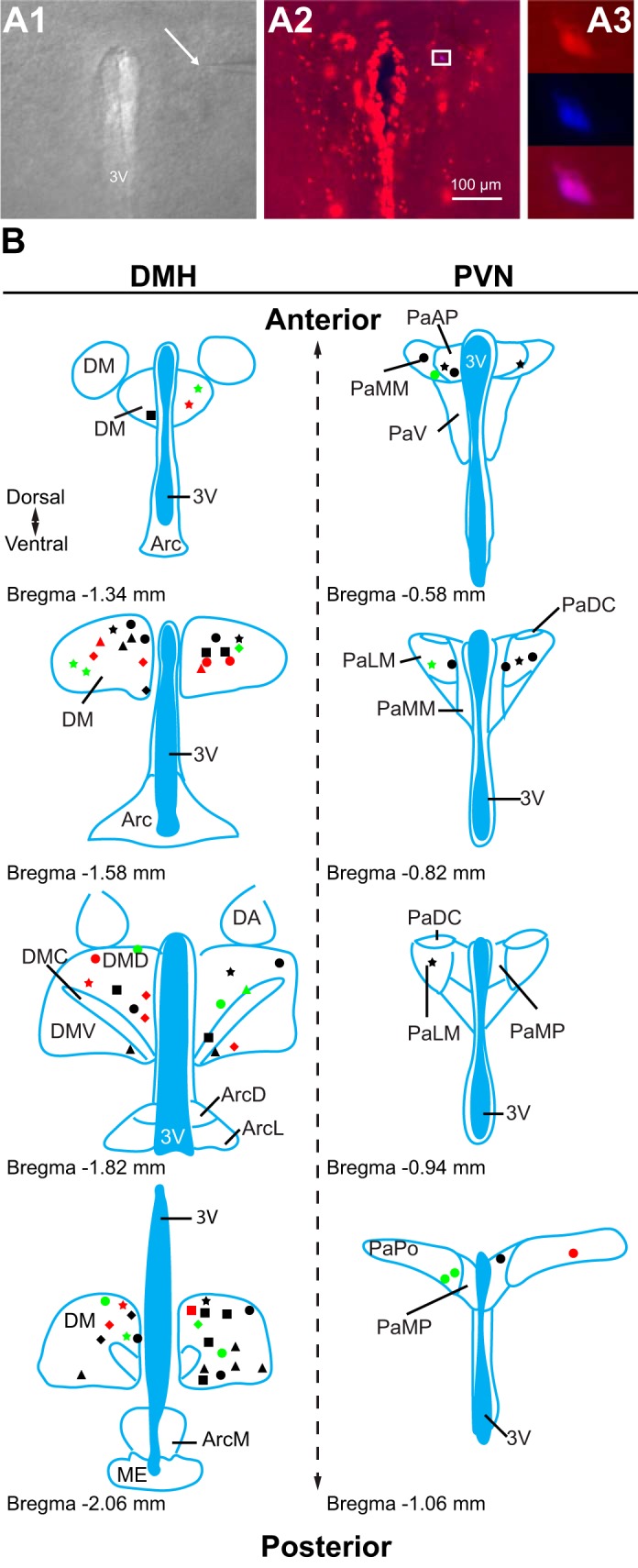 Fig. 2.