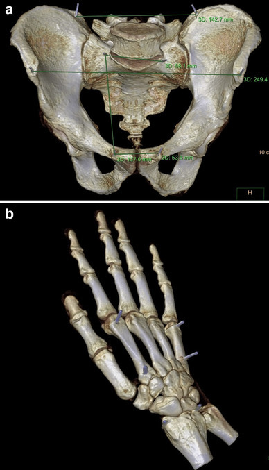 Fig. 5