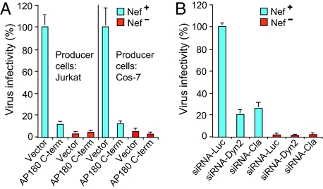 Fig. 6.