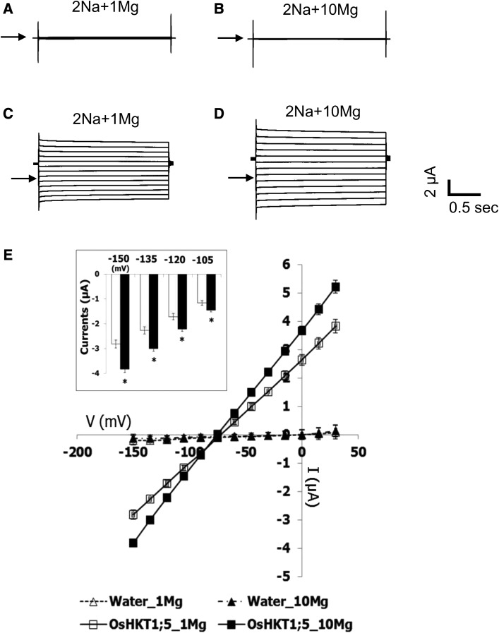 Figure 7.