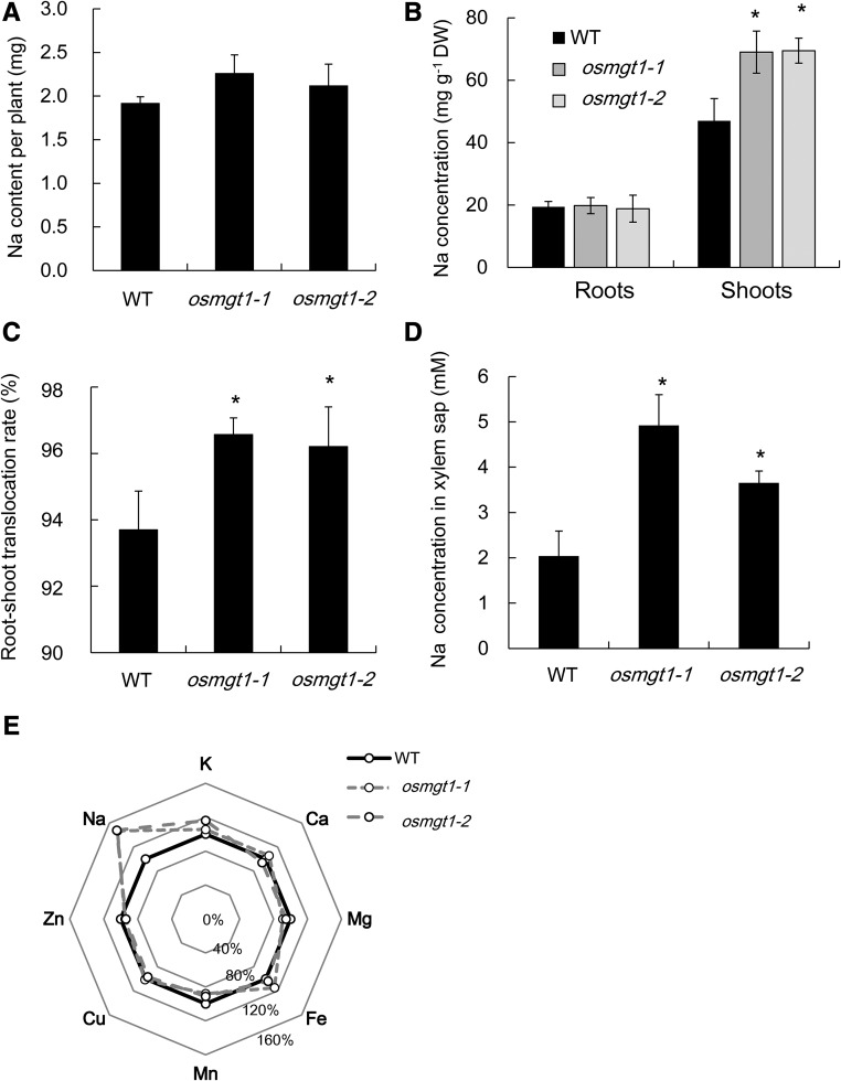 Figure 2.