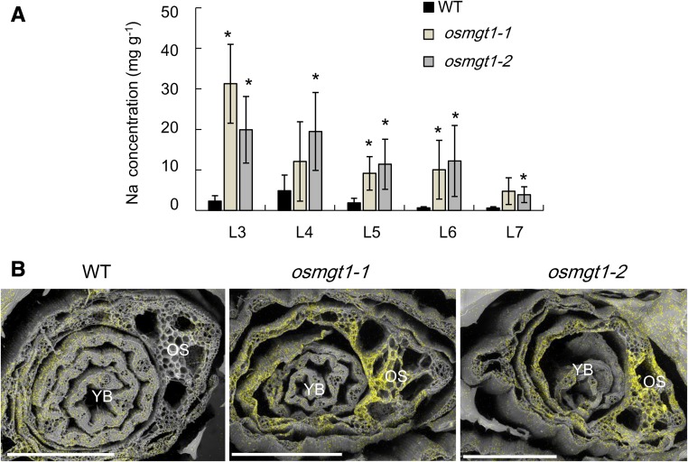 Figure 3.