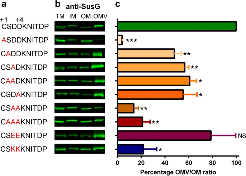 FIG 6