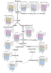 Figure 6—figure supplement 1.