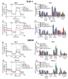 Figure 2—figure supplement 1.