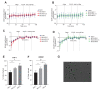 Figure 2—figure supplement 2.