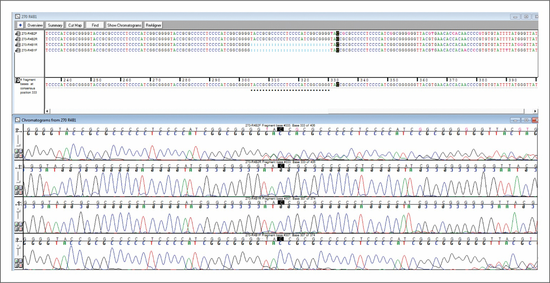 Figure 1.