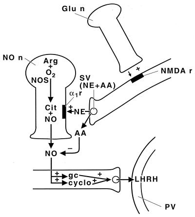 Figure 14