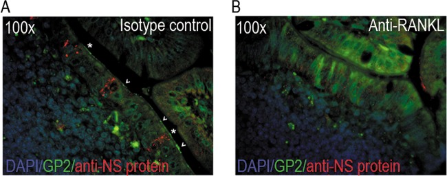 FIG 6