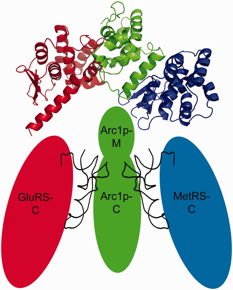 Figure 1.