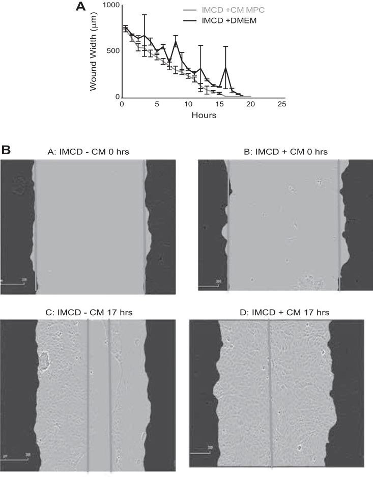 Fig. 10.