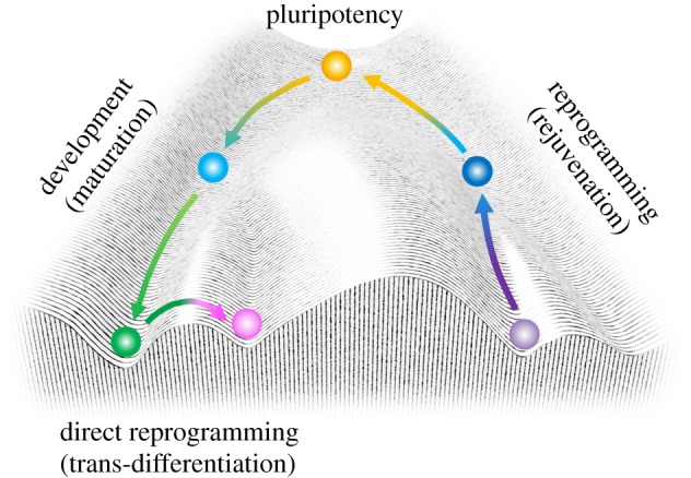 Figure 1.