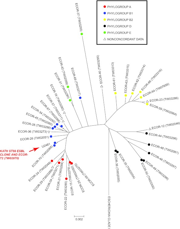 Fig 1