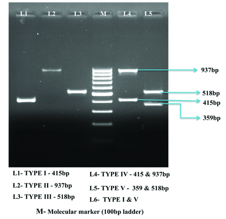 [Table/Fig-4]: