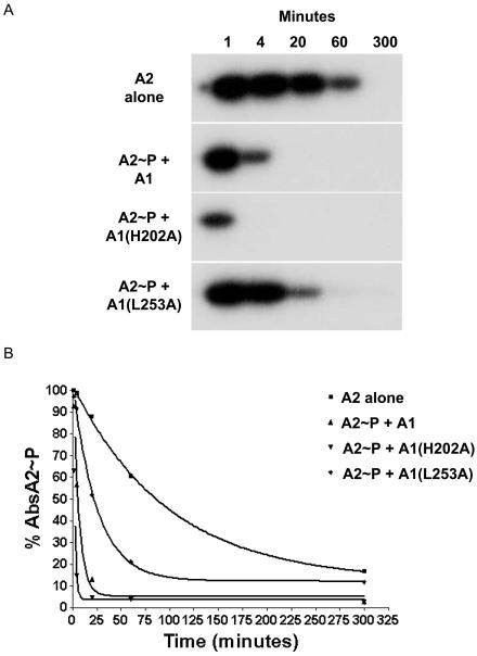 FIG. 5.