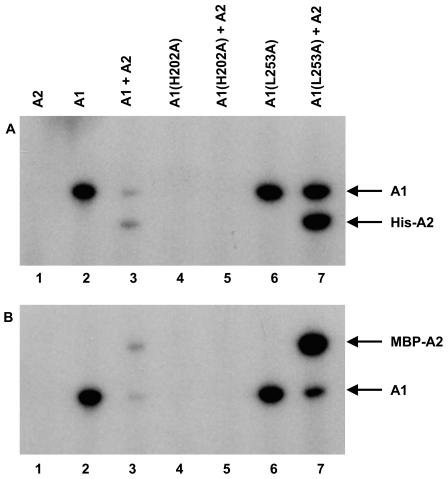 FIG. 4.