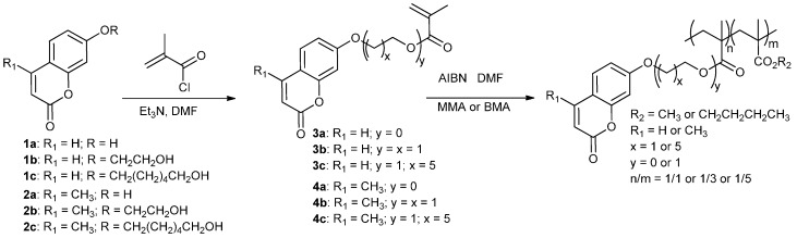 Scheme 2