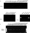 FIG 3