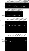 FIG 2