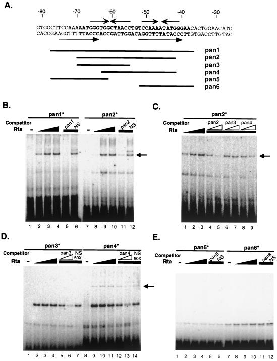 FIG. 8