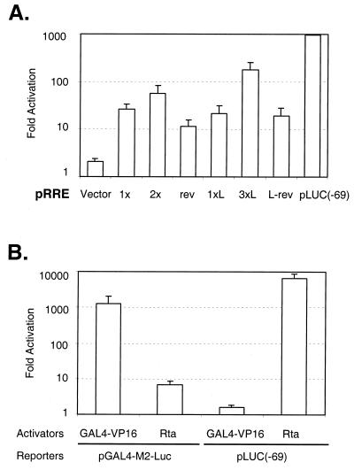 FIG. 10